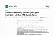 Flavonoids as Promising Antiviral Agents against SARS‐CoV‐2 Infection: A Mechanistic Review